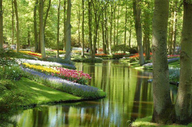 Keukenhof-Gardens-Hollanda